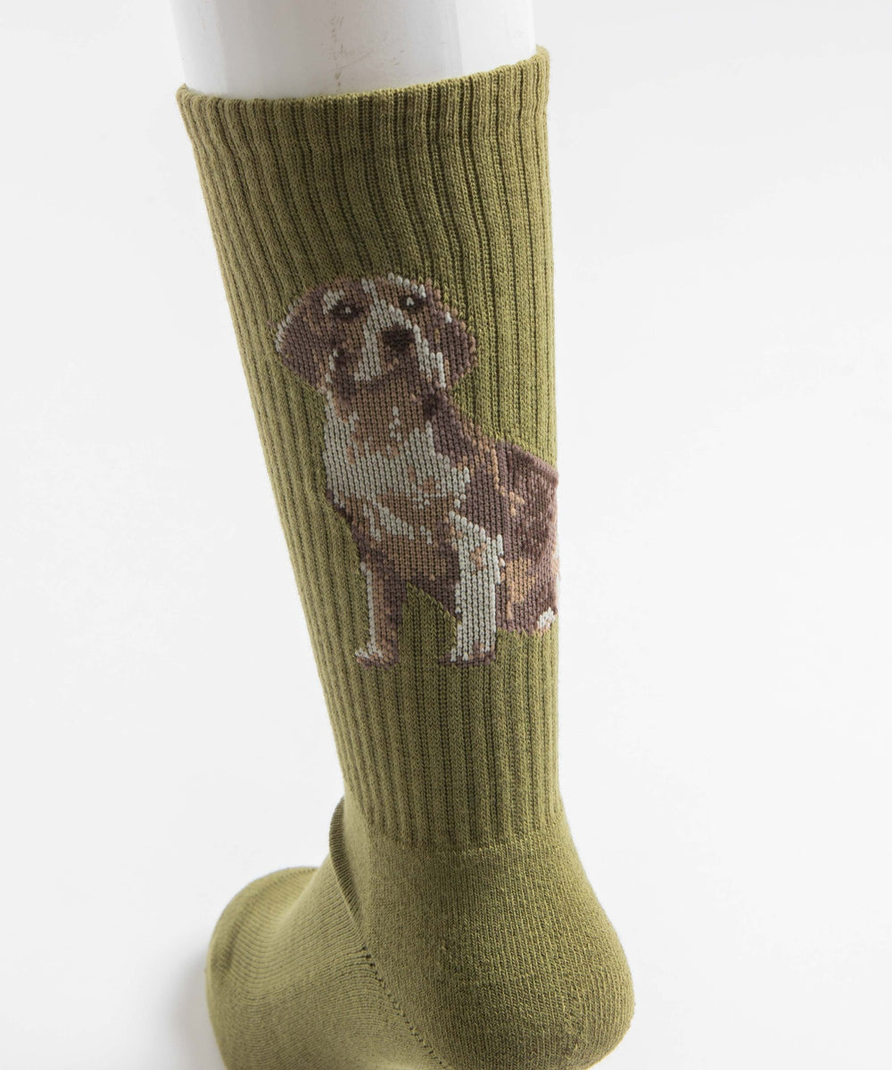 パターンデザインソックス（R）(25-27cm)