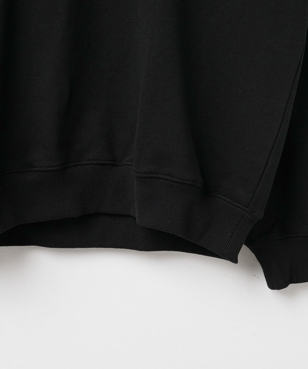 ヘビーウエイト刺繍グラフィックプルオーバー