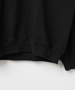 ヘビーウエイト刺繍グラフィックプルオーバー