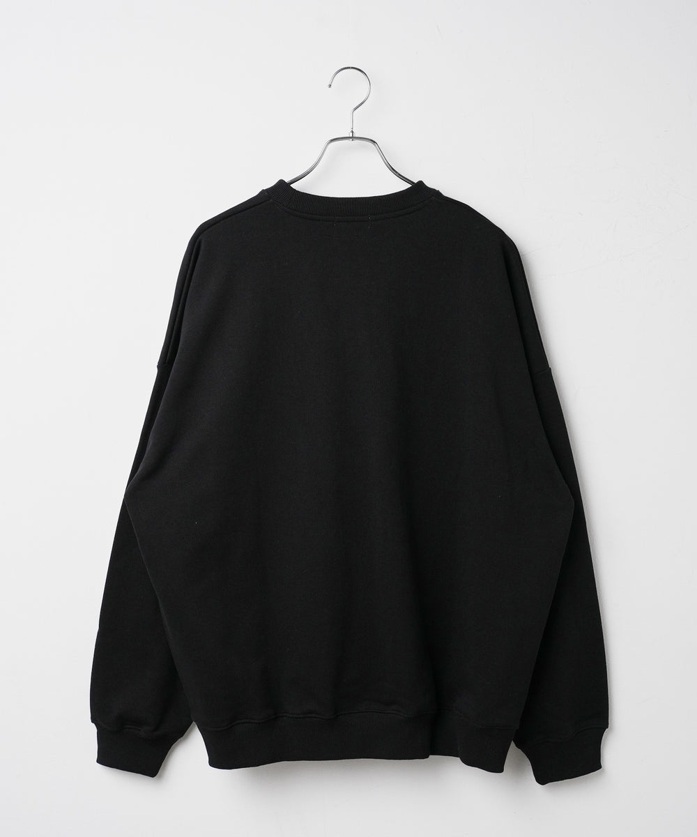 ヘビーウエイト刺繍グラフィックプルオーバー