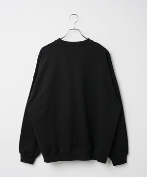 ヘビーウエイト刺繍グラフィックプルオーバー