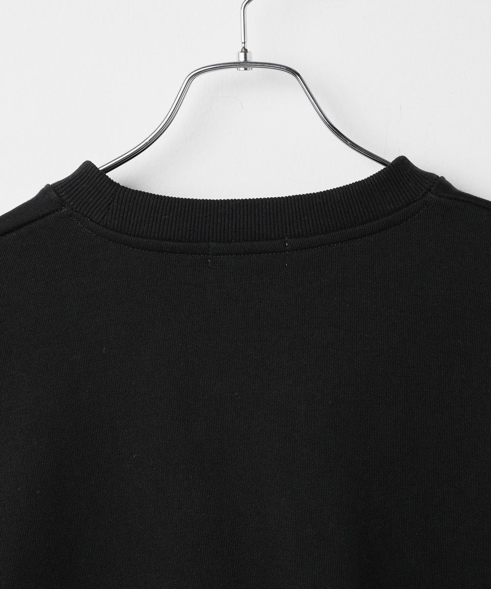 ヘビーウエイト刺繍グラフィックプルオーバー