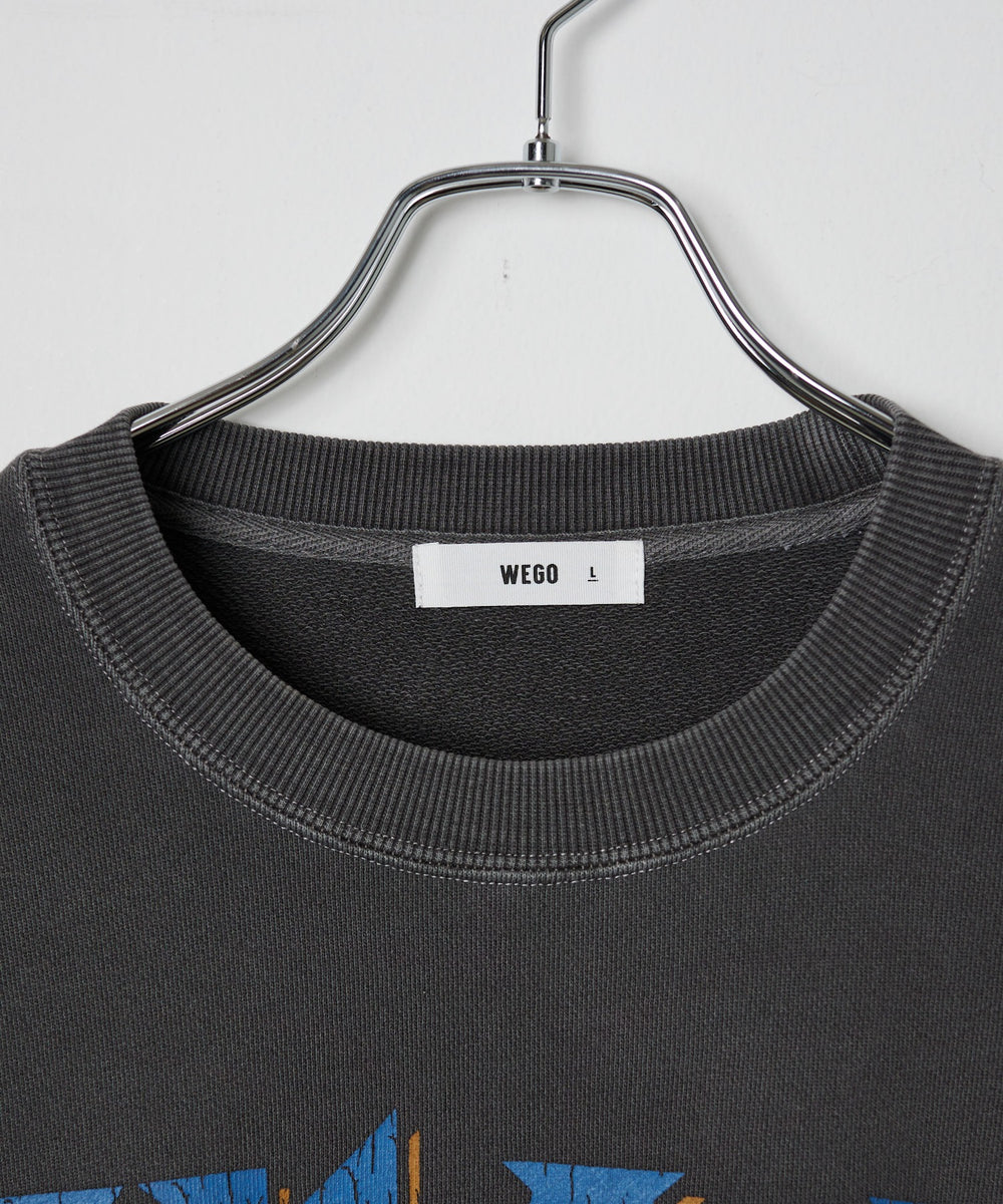 ピグメントグラフィックプルオーバー