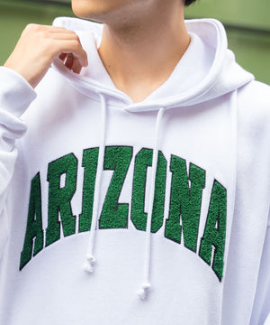 ヘビーウエイトサガラカレッジプルパーカー