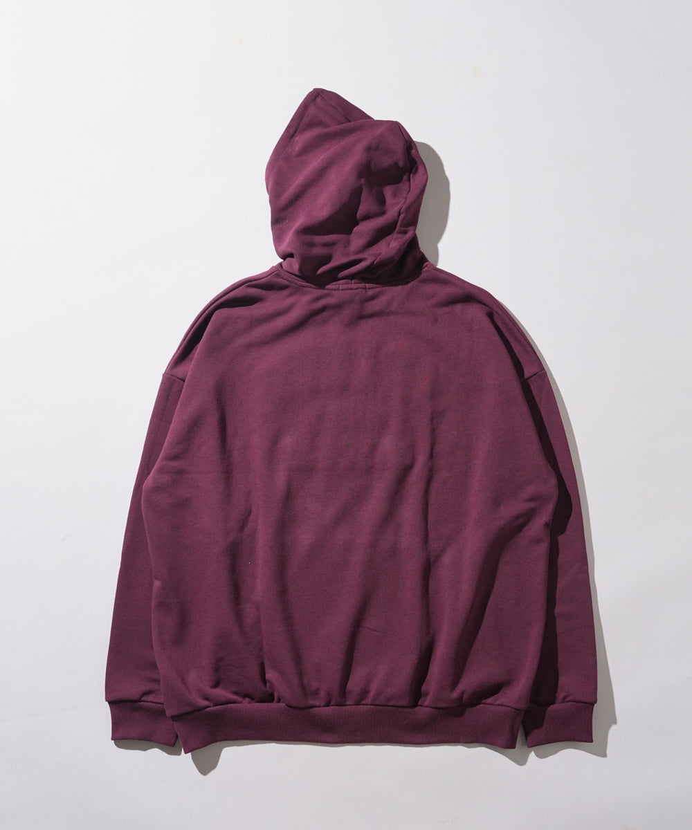 ヘビーウエイトサガラカレッジプルパーカー