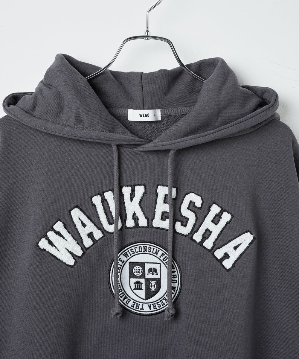 ヘビーウエイトサガラカレッジプルパーカー