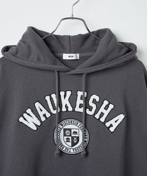 ヘビーウエイトサガラカレッジプルパーカー