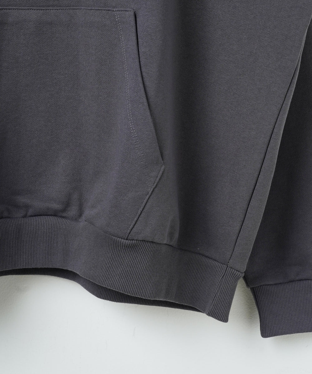 ヘビーウエイトサガラカレッジプルパーカー