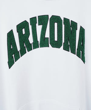 ヘビーウエイトサガラカレッジプルパーカー