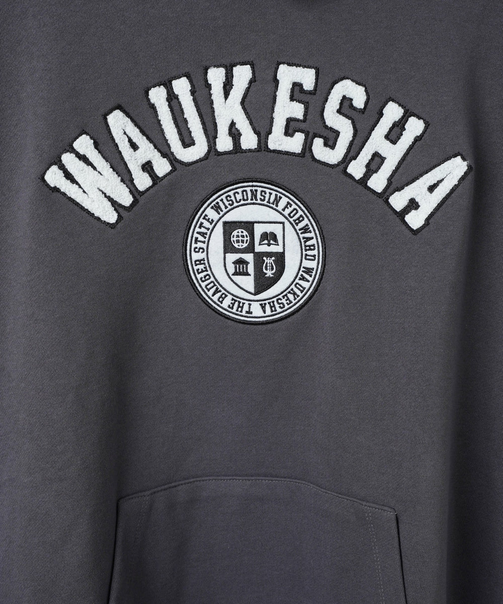 ヘビーウエイトサガラカレッジプルパーカー