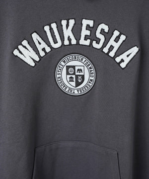 ヘビーウエイトサガラカレッジプルパーカー