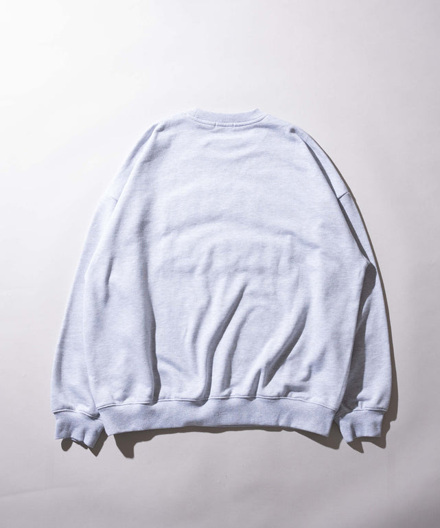 ヘビーウエイトサガラグラフィックプルオーバー