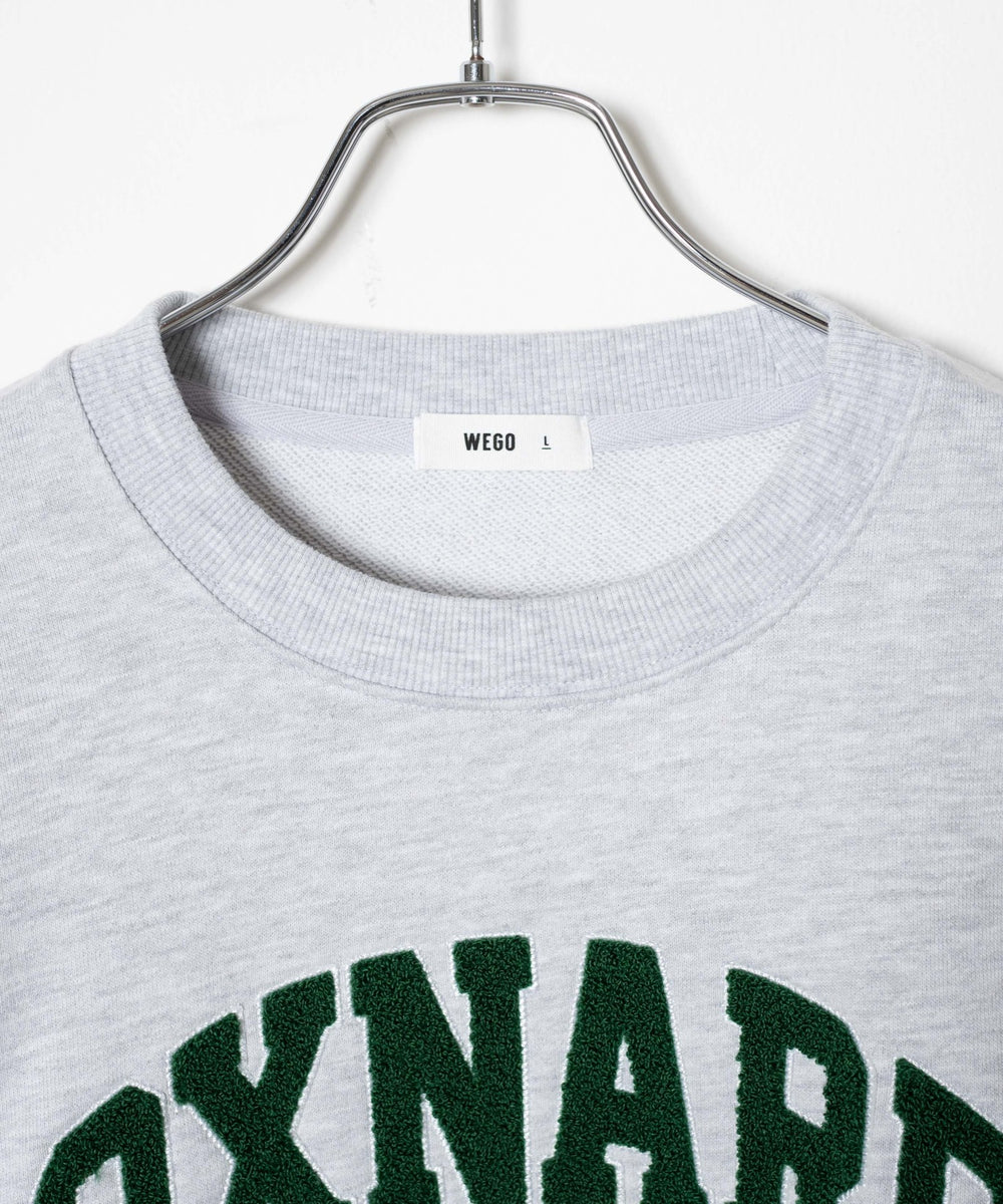 ヘビーウエイトサガラグラフィックプルオーバー