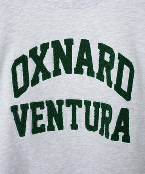 ヘビーウエイトサガラグラフィックプルオーバー