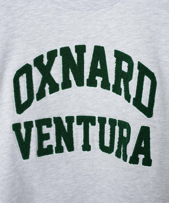 ヘビーウエイトサガラグラフィックプルオーバー