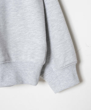 ヘビーウエイトサガラグラフィックプルオーバー