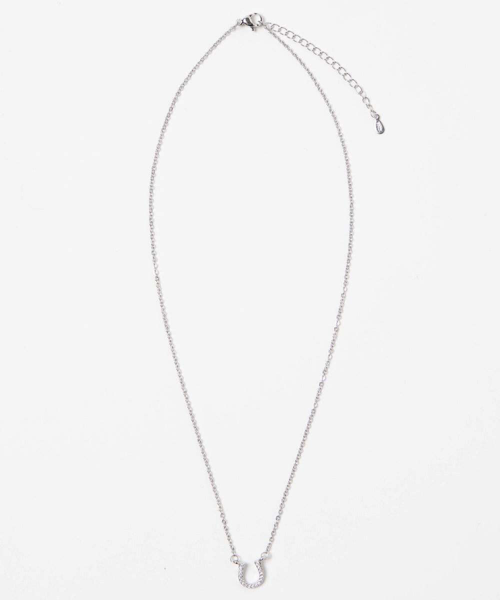 柄3(ホーシューシルバー)