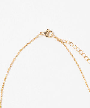 Lモチーフプチペン