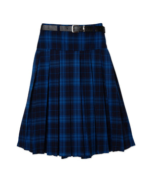 ブルーチェック1