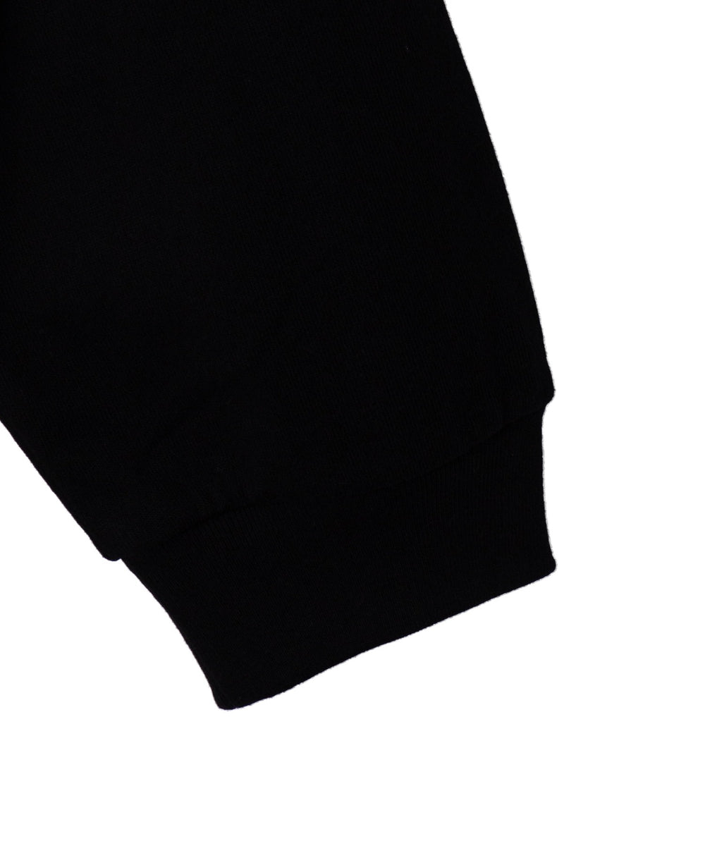 ラグラングラフィックBIG　T（LS）