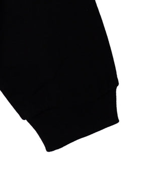 ラグラングラフィックBIG　T（LS）