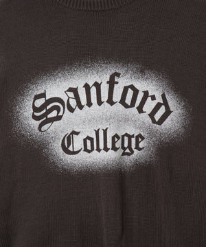 グラフィックニットBIGプルオーバー