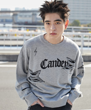 グレー モデル：180cm L着用