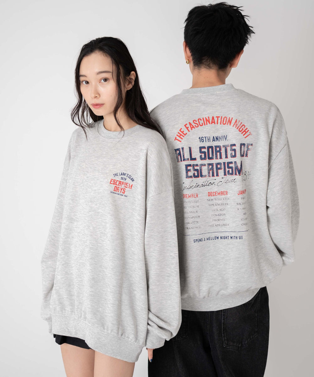 柄39　アッシュグレー