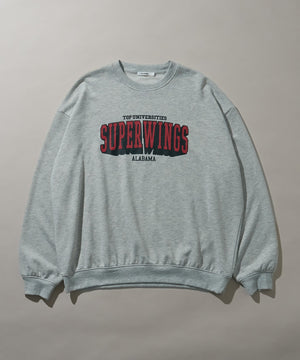 柄10　アッシュグレー