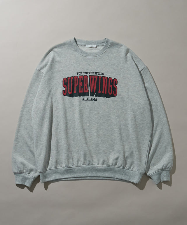 柄10　アッシュグレー