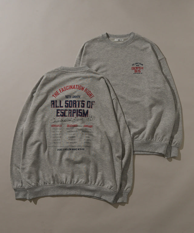 柄39　アッシュグレー