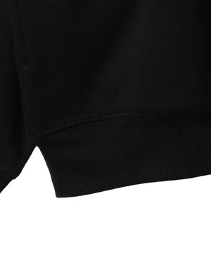 サークルロゴハーフジッププルオーバー