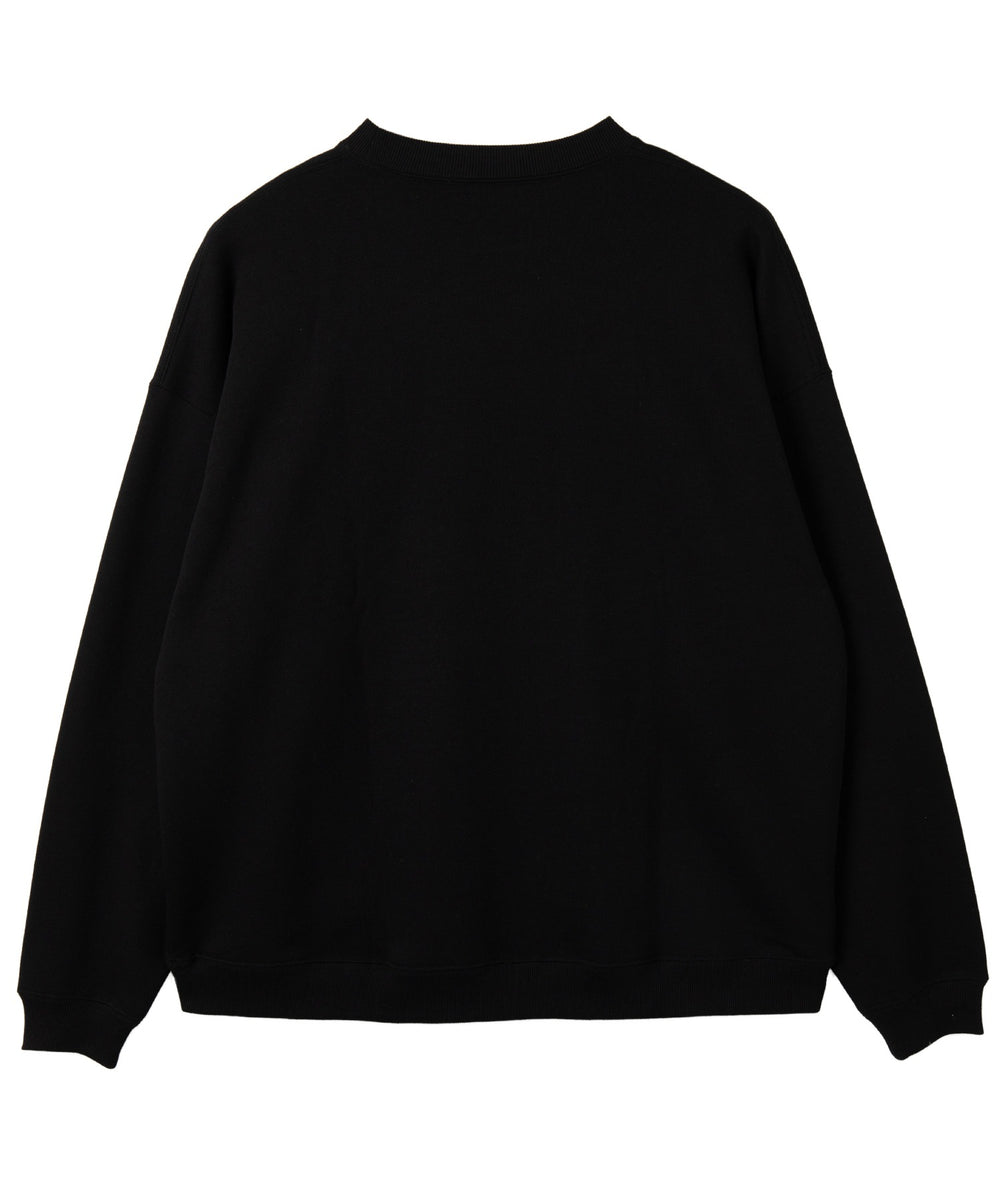 メタリックロゴプルオーバー