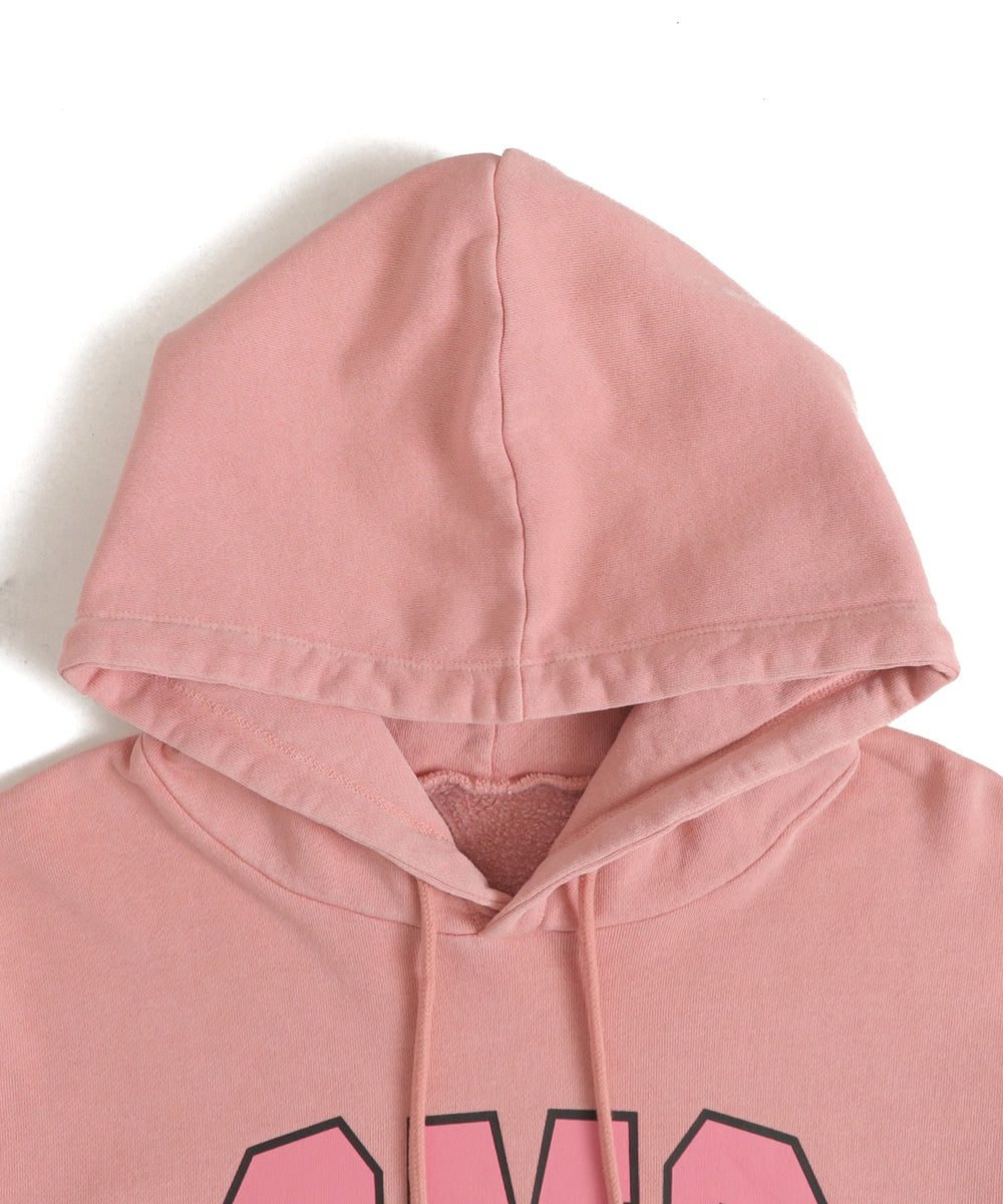 ピグメントOMGプルパーカー