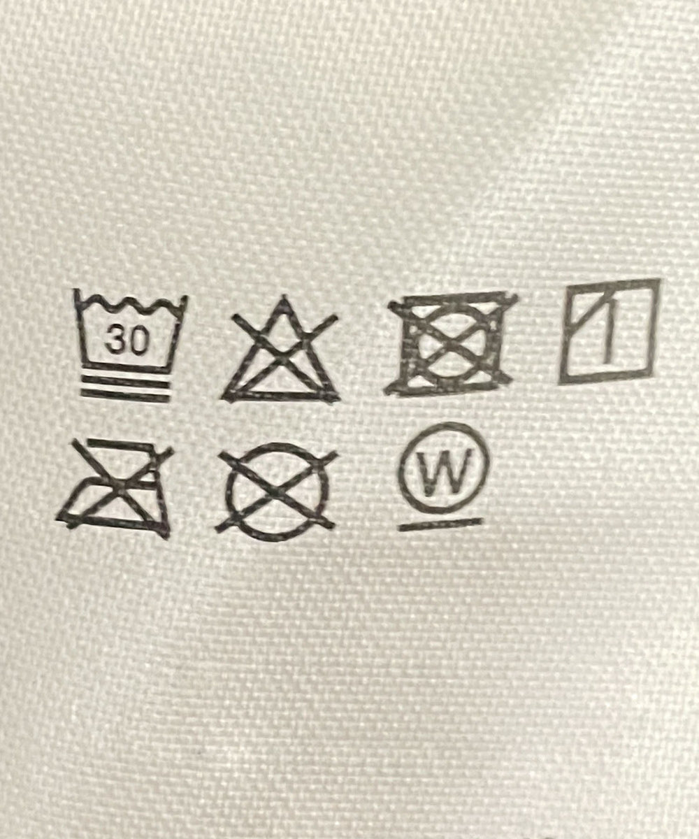 ライングラフィックショートT