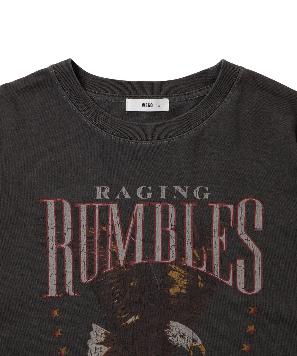 ピグメントグラフィックT（S）