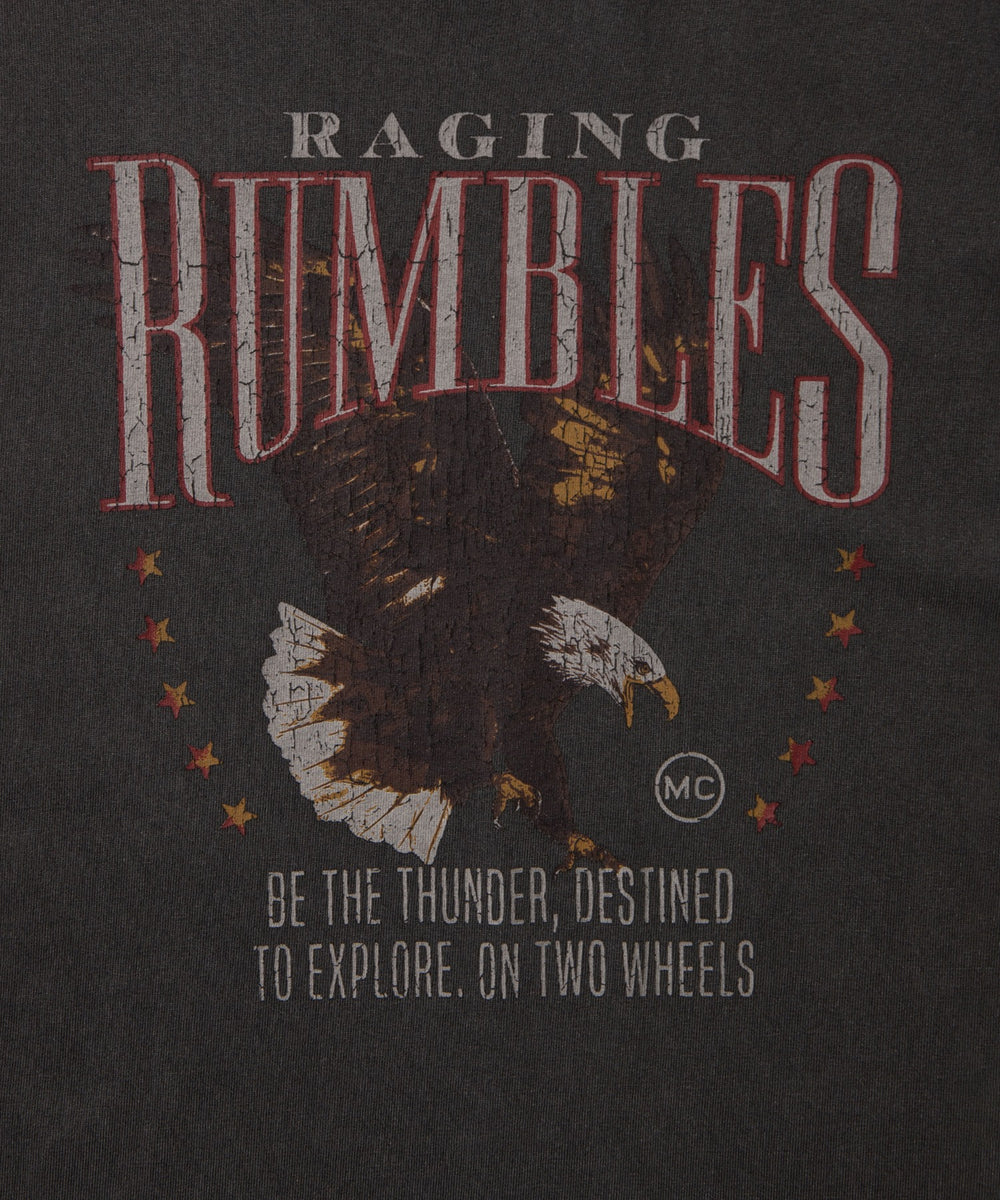 ピグメントグラフィックT（S）