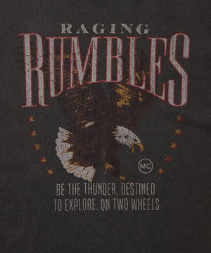 ピグメントグラフィックT（S）