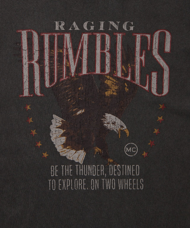 ピグメントグラフィックT（S）