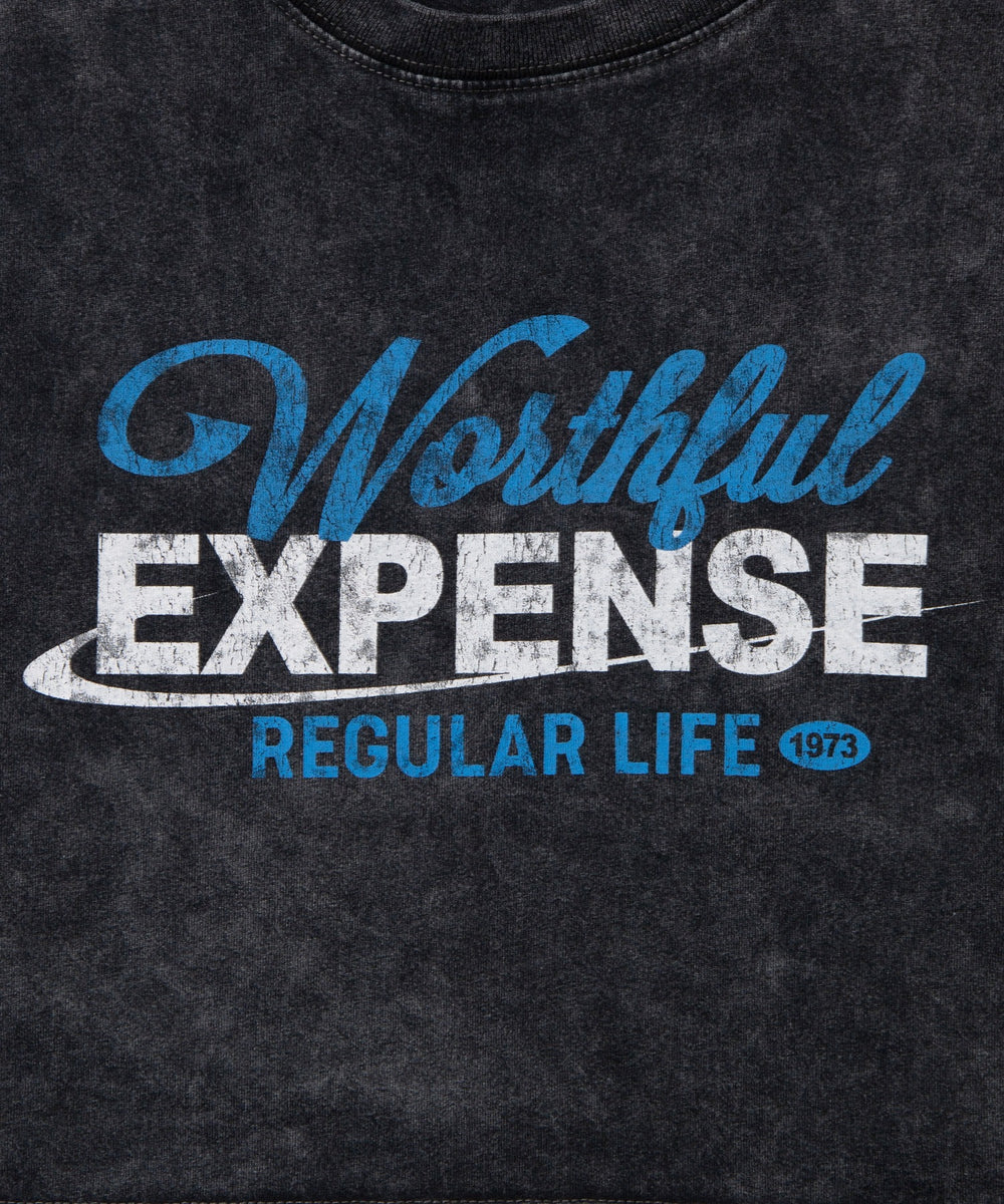 ヴィンテージウォッシュショートT