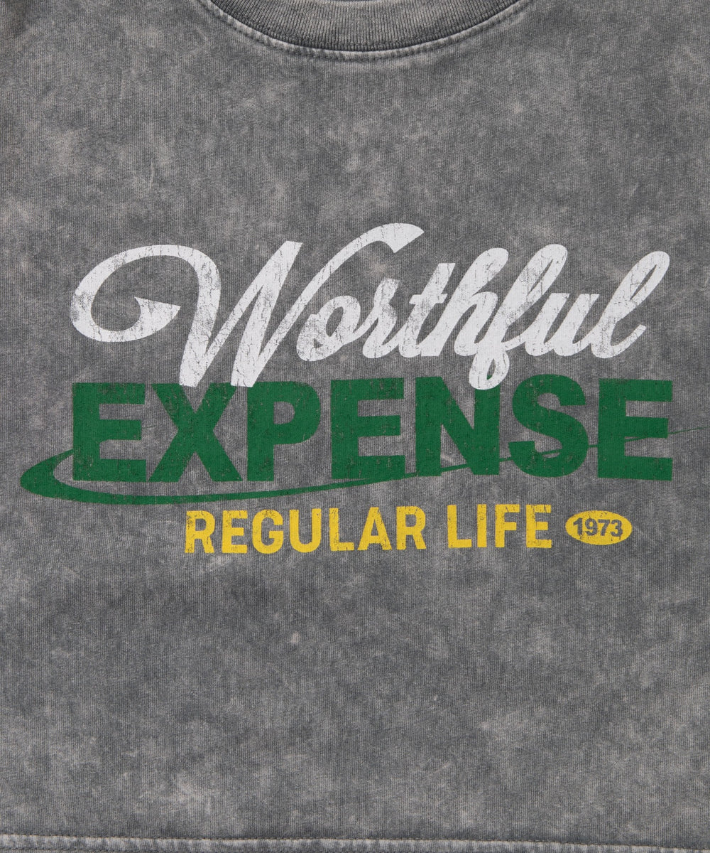 ヴィンテージウォッシュショートT