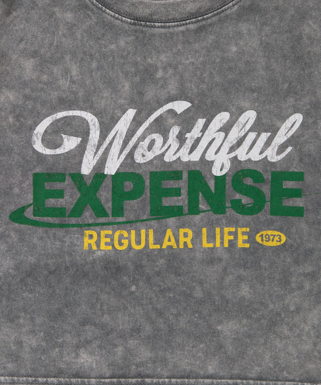 ヴィンテージウォッシュショートT