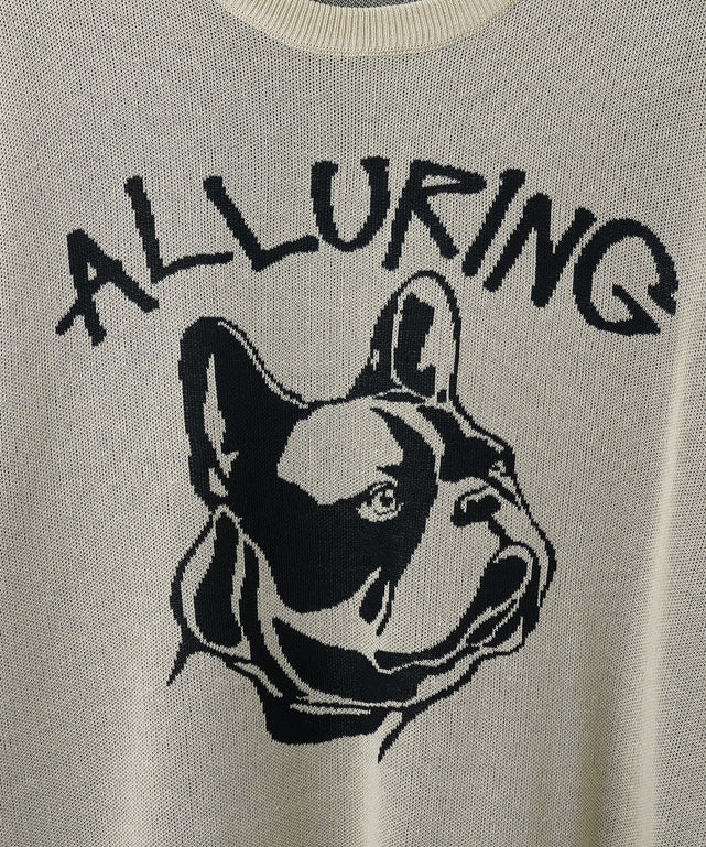 ジャガードニットプルオーバー（S）