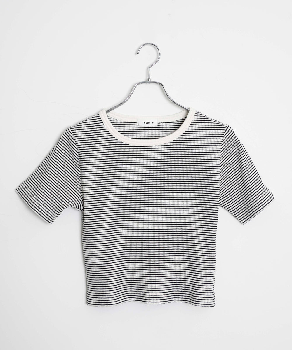 ホワイト系ボーダー