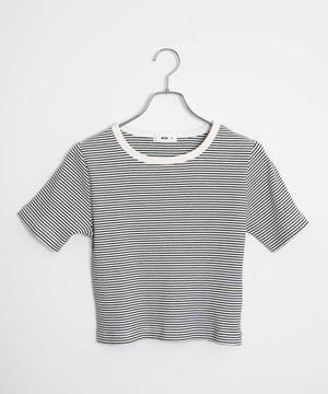 ホワイト系ボーダー