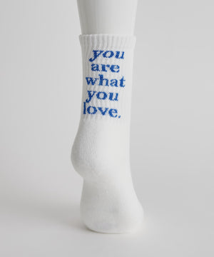 バックラメロゴソックス