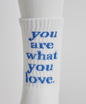 バックラメロゴソックス