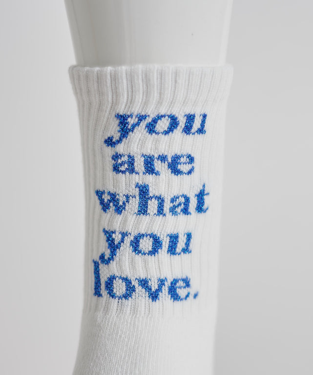 バックラメロゴソックス