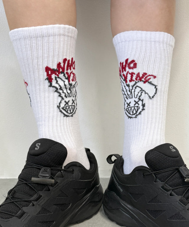 グラフィックデザインソックス（R）(25-27cm)