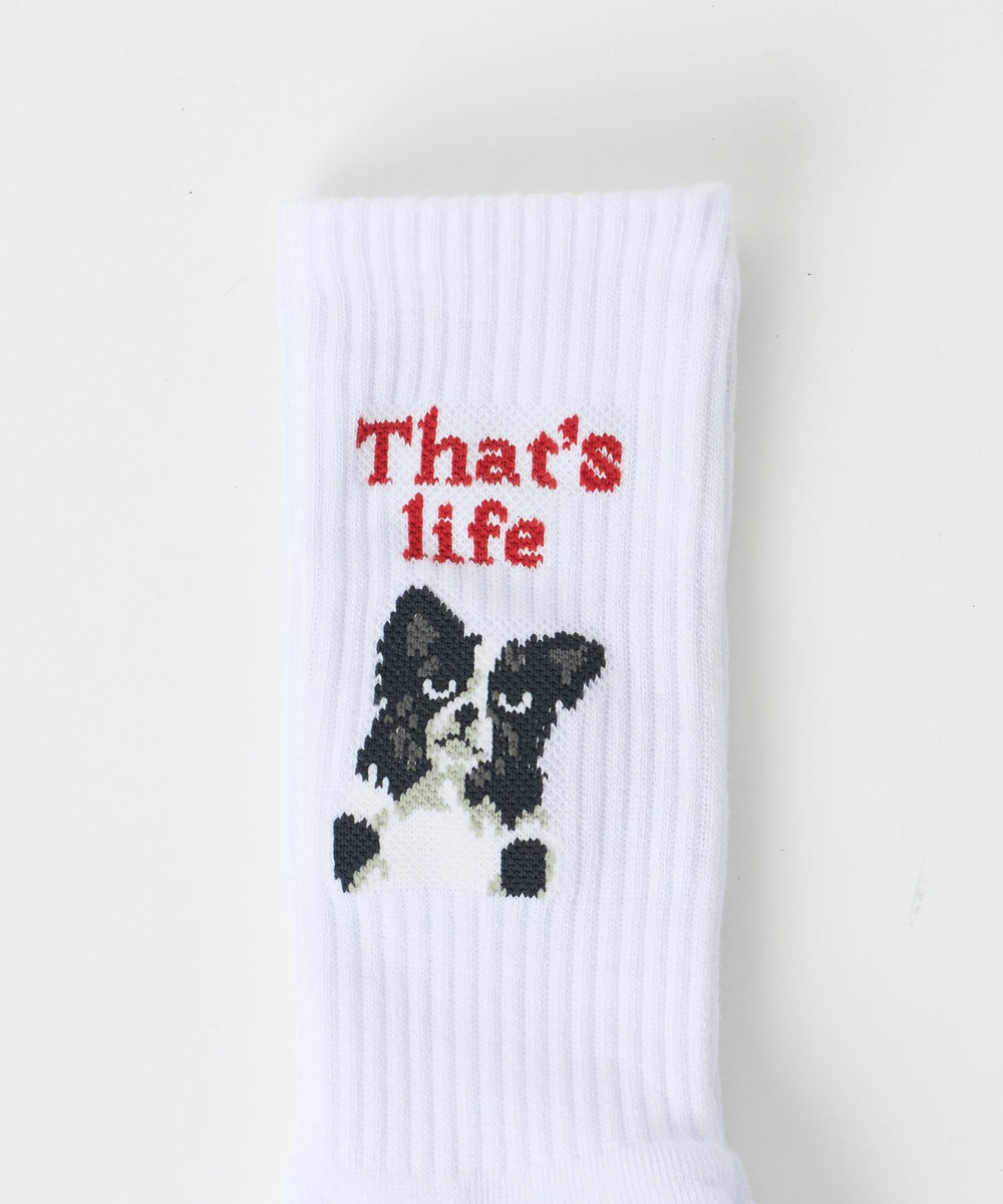 グラフィックデザインソックス（R）(25-27cm)